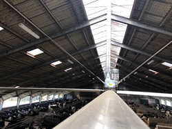 Loft Ventilator 